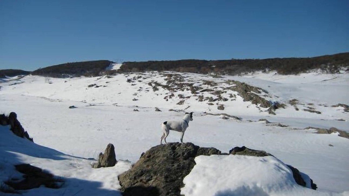 Talbingo House | Lampe House - A cosy, pet friendly cottage at Talbingo, Snowy Mountains NSW