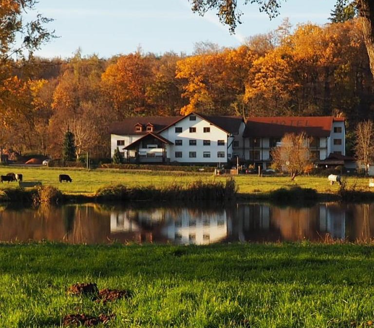 Ortenberg Hotel | Landgasthof Rotlipp Gästezimmer