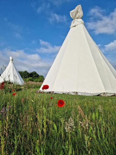 Ravels Other | Landgoed Omorika