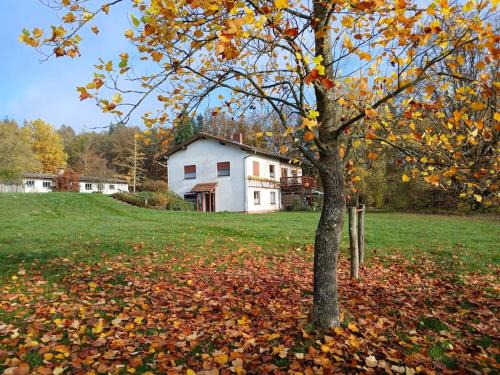 Stadtprozelten Apartment | Landhaus Spessart
