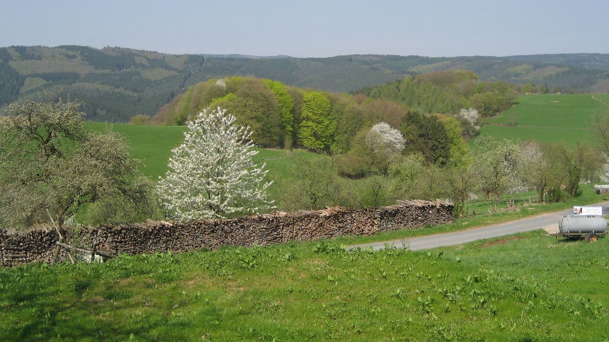 Rothenberg Apartment | Landhof Rothenberg Apartment 1 - unobstructed view of the beautiful landscape