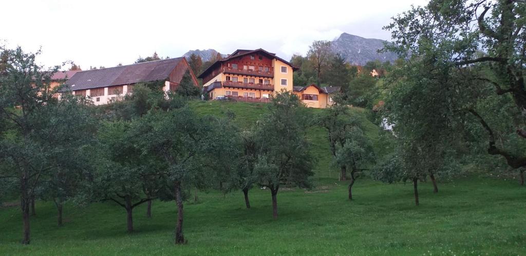Spital am Pyhrn Apartment | Landhotel Oberwengerhof