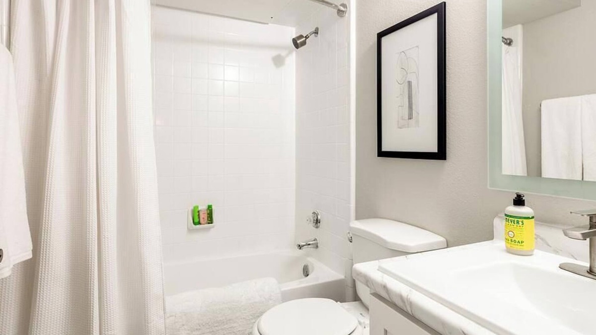 Georgetown Apartment | Landing at Elevate Apartments - 2 Bedrooms in Downtown Georgetown