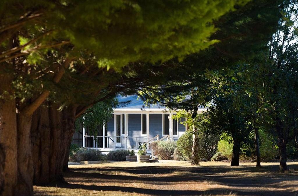 Wheatsheaf House | Langfields