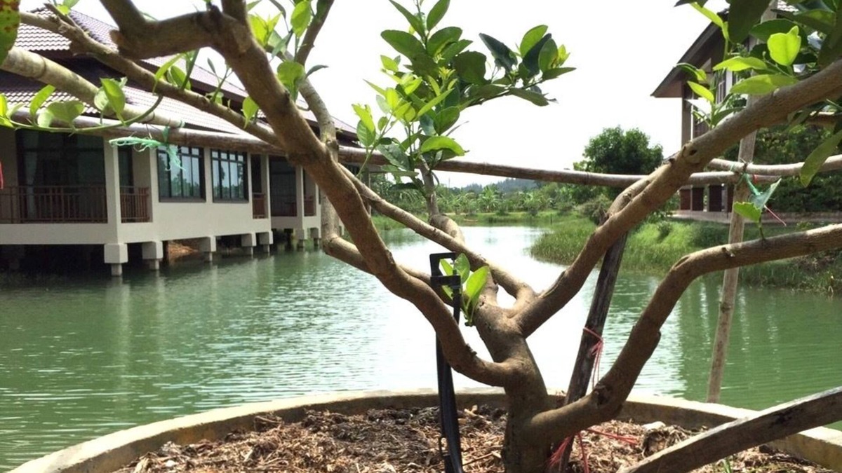Ban Na Faek Hotel | Lantala Residence