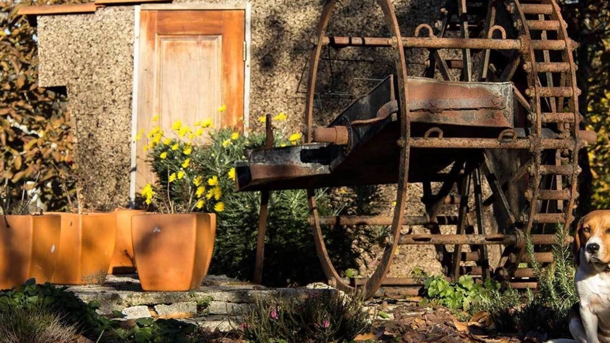 Freixo House | Laranjalimao Guest House