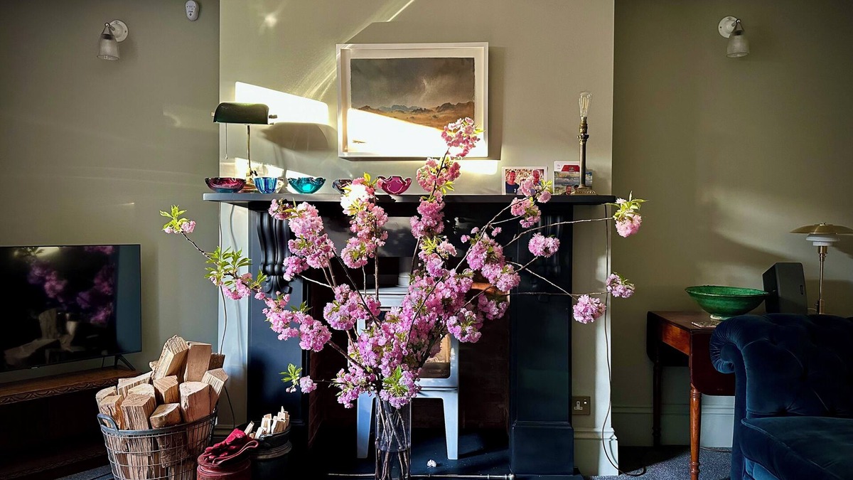 Cantelowes Apartment | Large 1 bd period apartment with own garden - Camden/Kings Cross