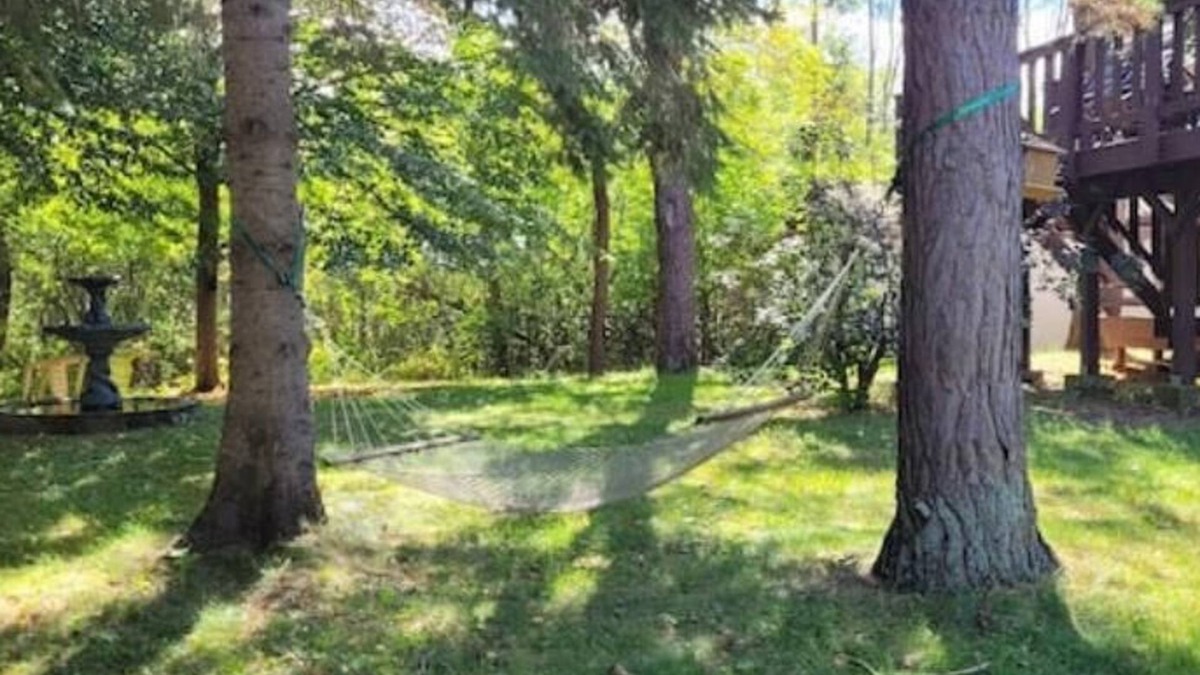 Collingwood Apartment | Large 1-BR - Year Round Cozy, Quiet Retreat