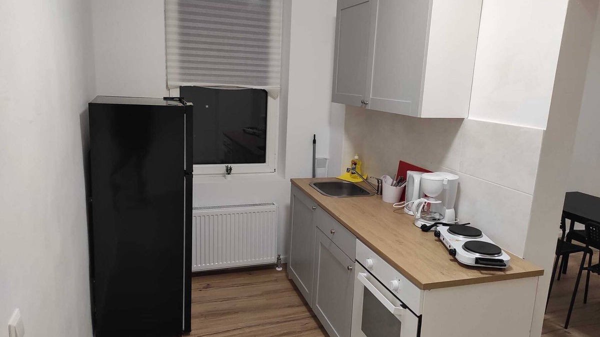 Altenburg Apartment | Large and spacious rooms, washing machine, WiFi&TV