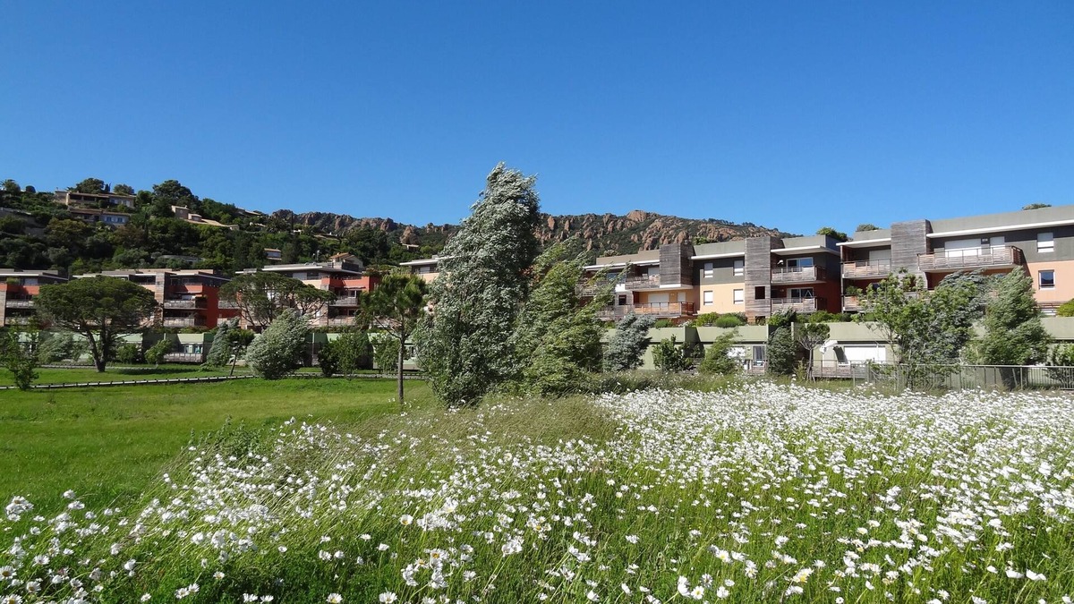 Agay Apartment | Large apartment for 6 people, swimming pool, park, beach 200m away