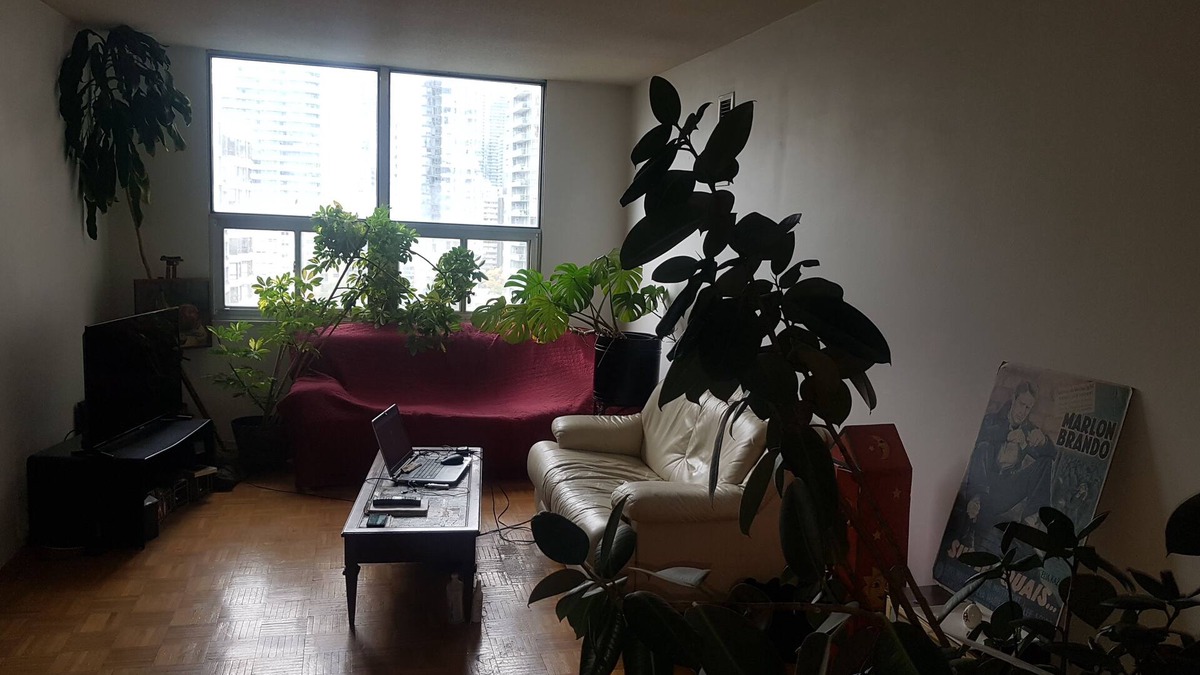 Cabbagetown Apartment | Large, bright apartment downtown near Maple Leaf Gardens. Pet-Friendly