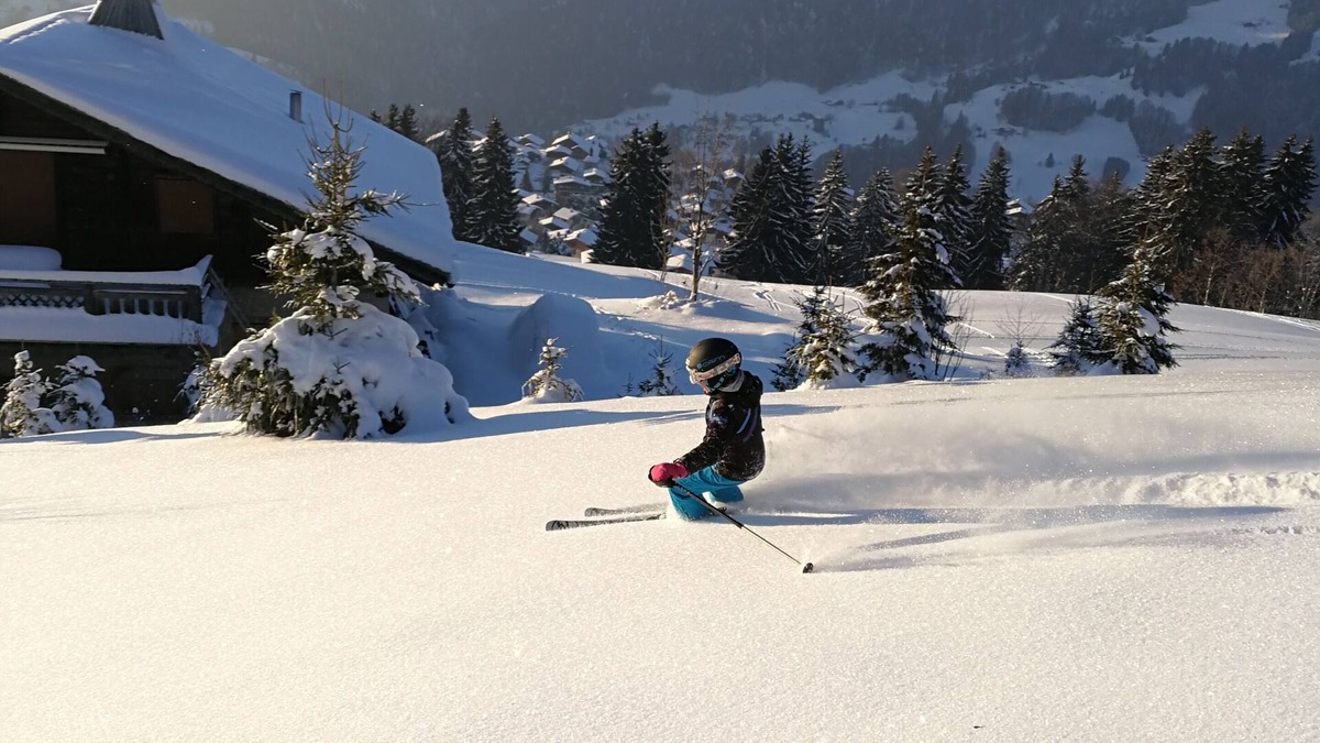 Crest-Voland Ski Chalet | LARGE CHALET 170 M², 5 hectares of land CREST VOLAND SAVOIE