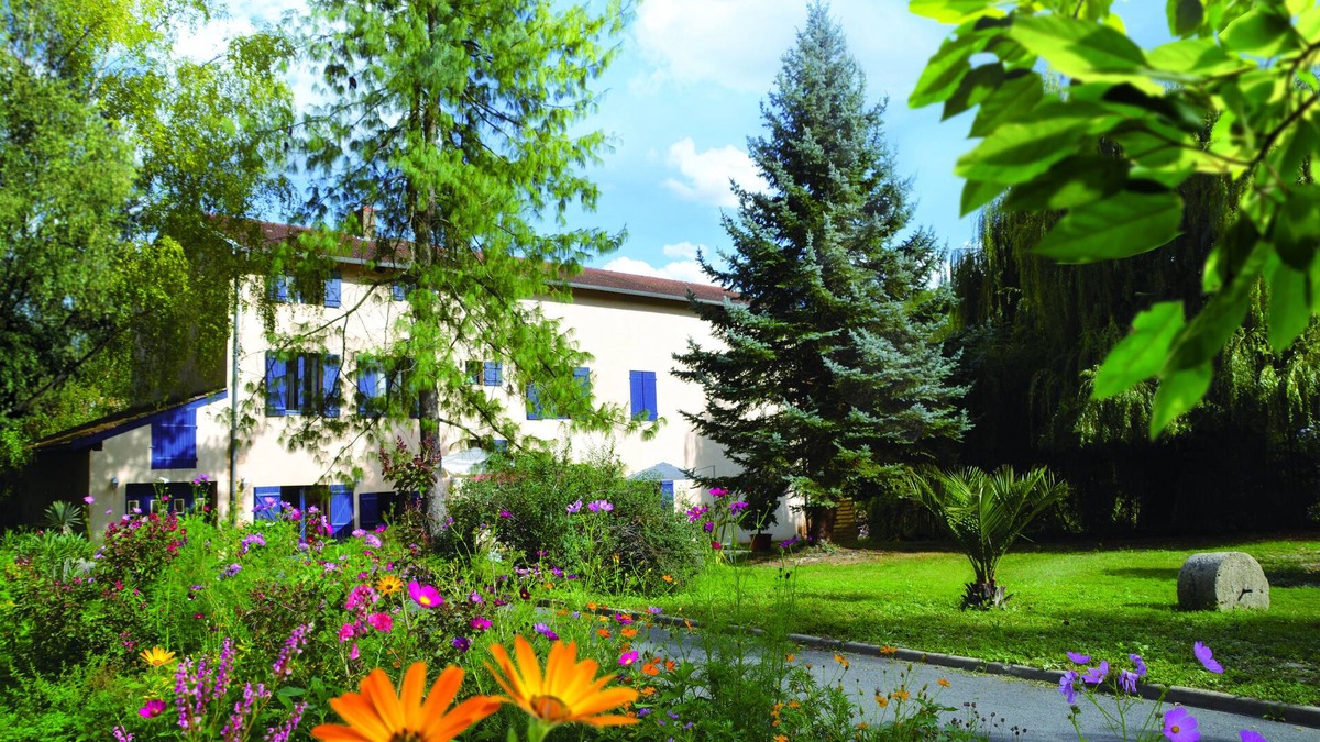 Neuville-sur-Saone House | Large character house for 14 people with swimming pool, terraces and garden.