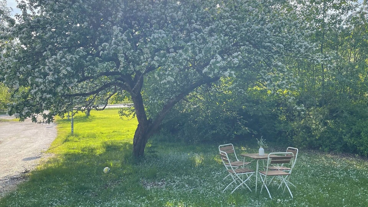 Ronninge Villa | Large charming house with calm and green surroundings