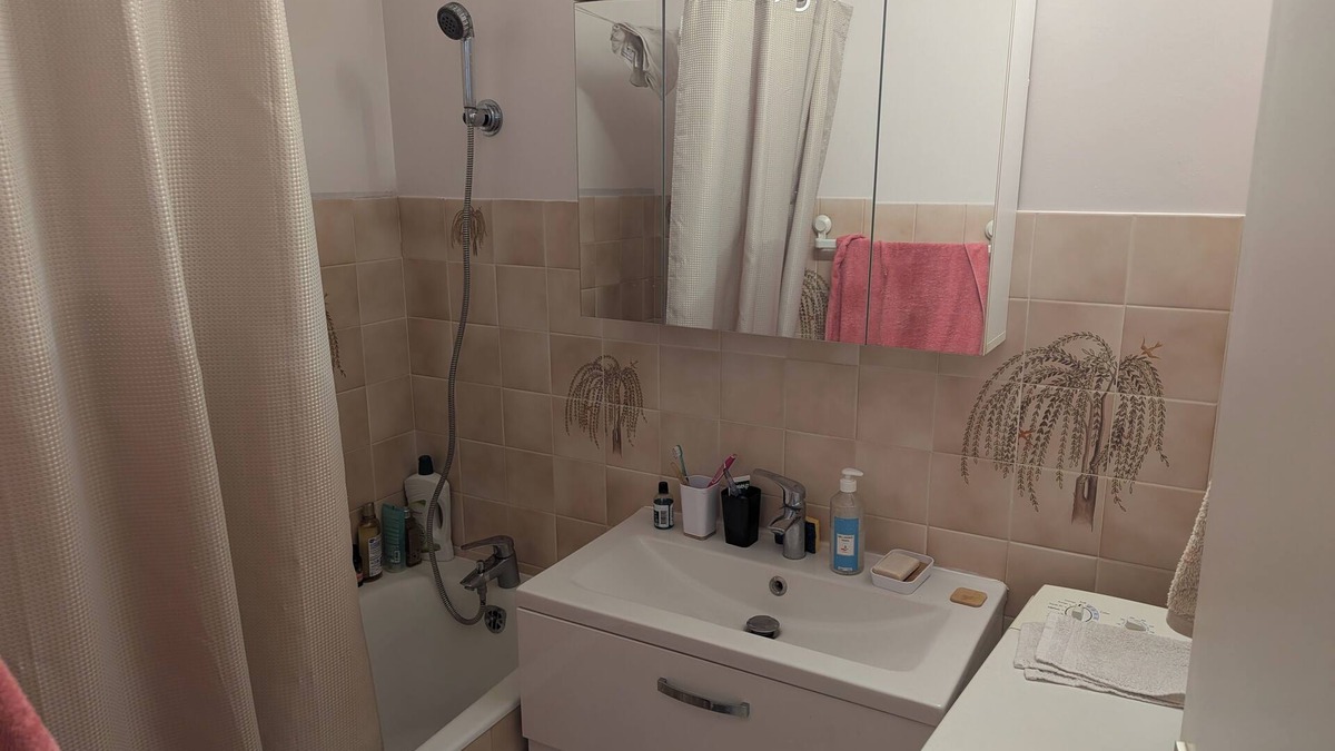 Bourroches Apartment | Large, comfortable apartment in Dijon, well located and well exposed.