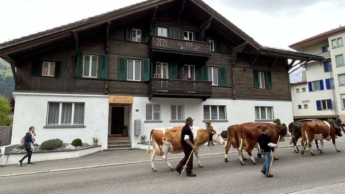 Lenk Apartment | Large cozy apartment in center Lenk