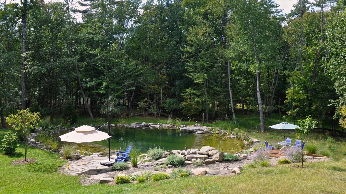 Mount Marion House | LARGE COZY Sleeps 7 Main House + Opt. Apt 4 More (+Fee) Pool/Pond!