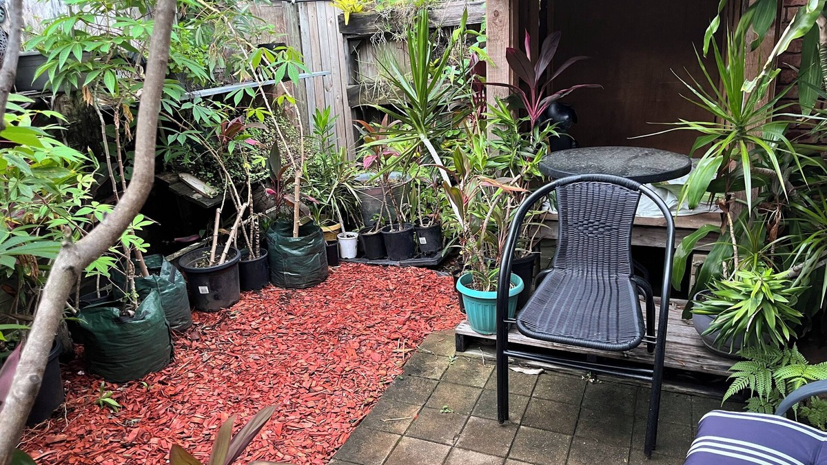 Thuringowa Central House | Large ensuite room with courtyard opposite the twin city hotel & Riverway