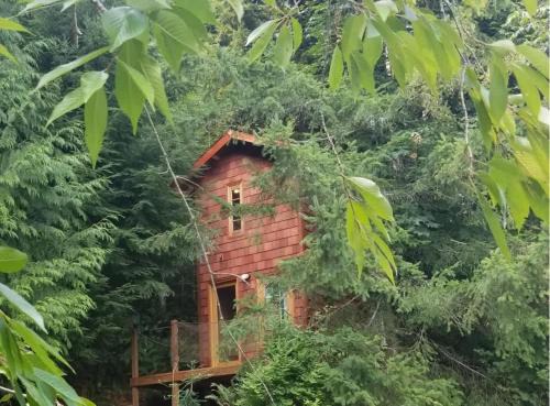 Snohomish House | Large Estate Venue 2 hot tubs 2 treehouses