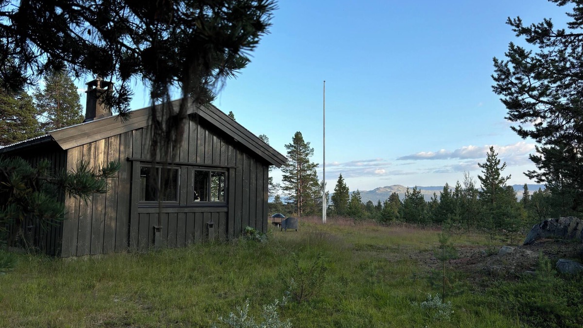 Nore og Uvdal Cabin | Large family-friendly cabin near Langedrag