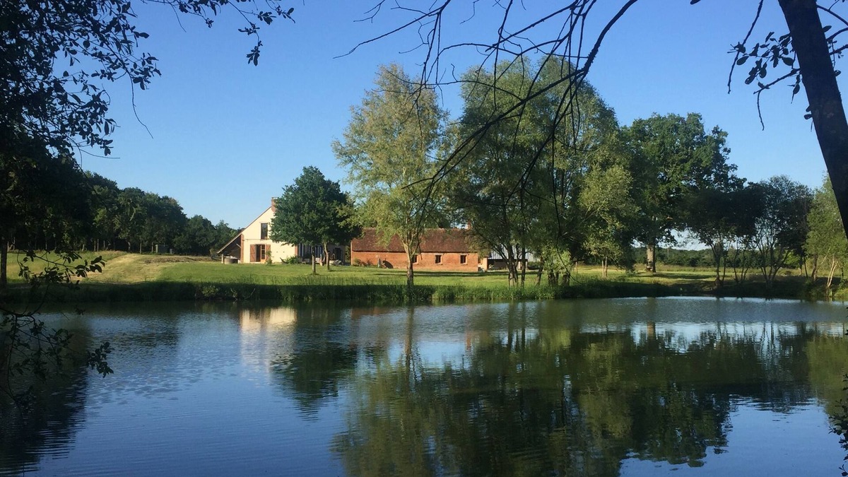 Neung-sur-Beuvron Other | Large farm in the heart of Sologne
