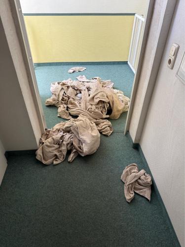 Oberwiesenfeld Apartment | Large flat with WIFI and parking