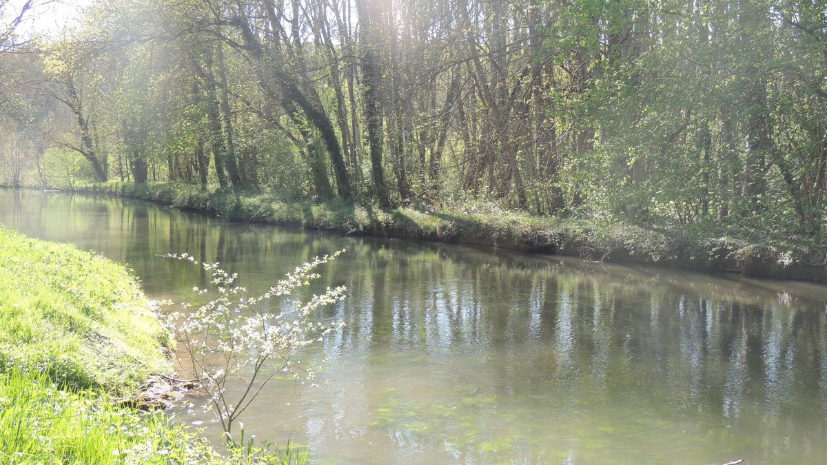 Chambon-sur-Cisse House | Large gite in the heart of the Loire castles