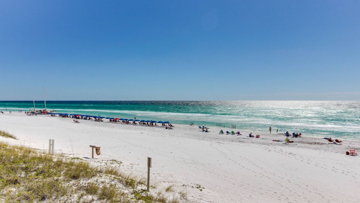 Clipper Cove House | Large group getaway walkable to the beach with private pool & chef's kitchen
