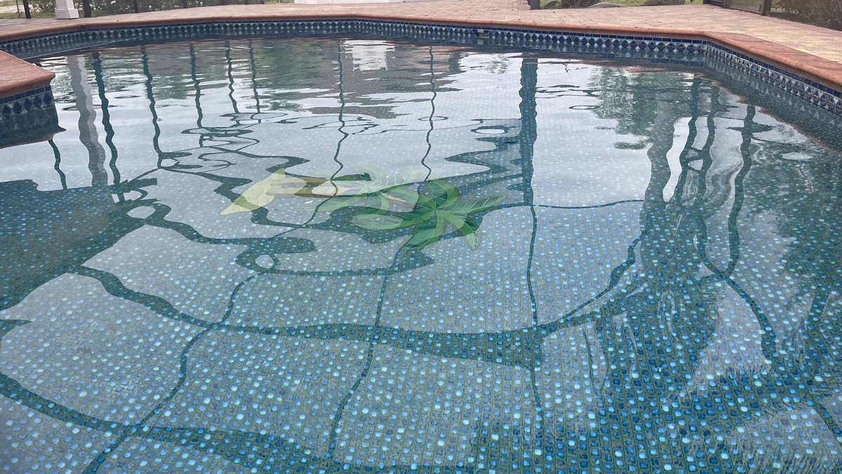 Waters Edge House | Large home, heated pool, game rooms, ping pong, golf, parks,ngated, many beaches
