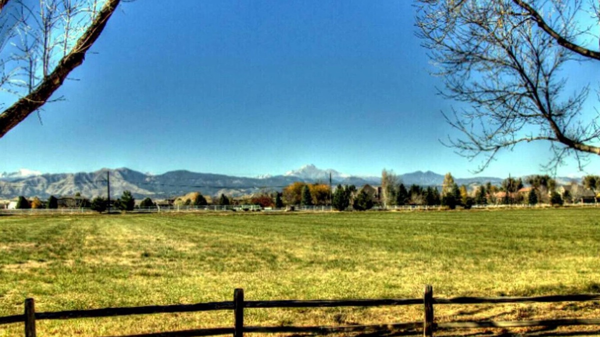 Longmont House | Large Home Near Boulder Fenced Yard 2 Dogs OK