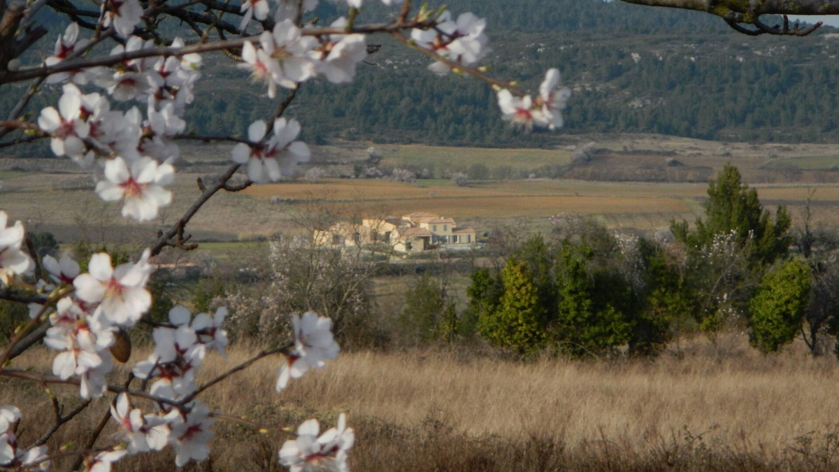 Tournissan Villa | Large house in peaceful location! In July/Aug. discount for more than 14 people!