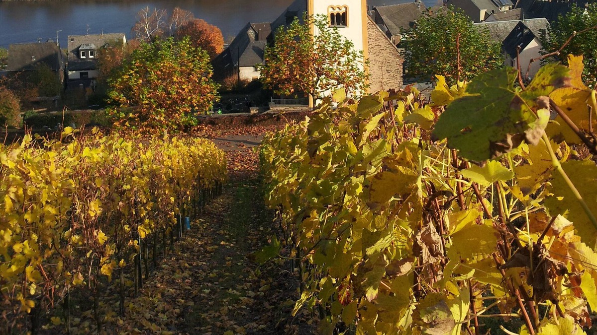 Tellig House | Large, luxurious holiday home with views Größzügigem (10/12 pers.)