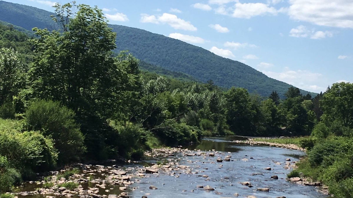 Lexington House | Large Mountain House on Schohaire Creek