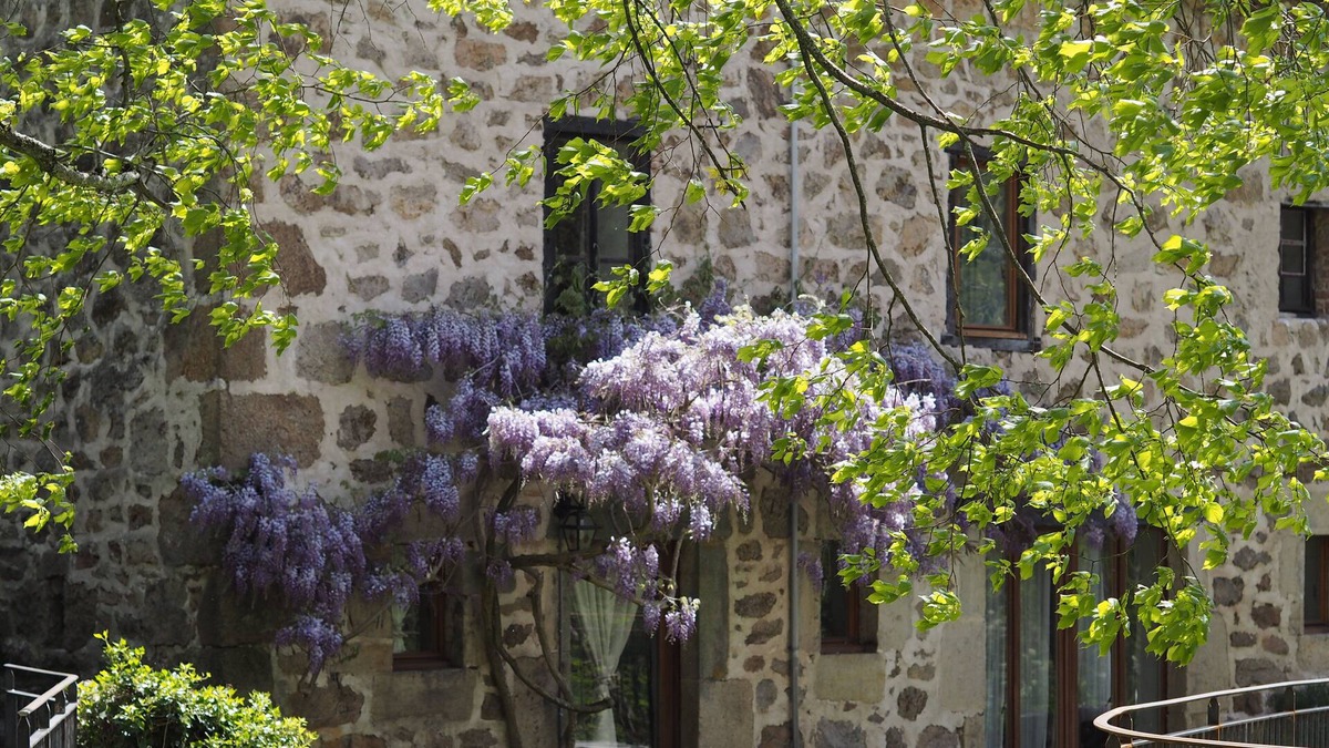 Vernoux-en-Vivarais House | Large stone house by the river - Furnished tourist accommodation 3 stars