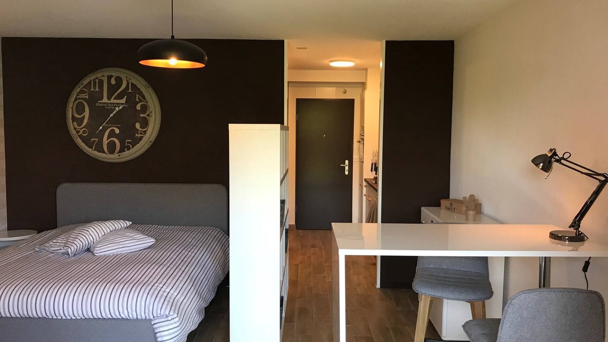 Ecublens Apartment | Large Studio Near Epfl And Lausanne City Center