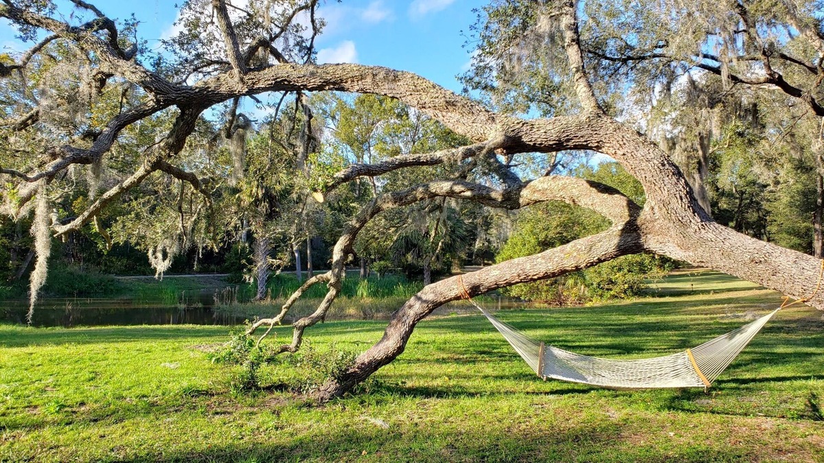 Crescent City House | Larperland 3 bed, 1 bath, 1 gig Wi-Fi, Fence