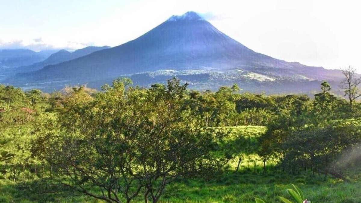 Monterrey Cabin | Las pavitas cottages “Las estrellas del Arenal”