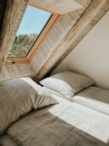 Srebrna Gora Apartment | Las Skarpa apartamenty