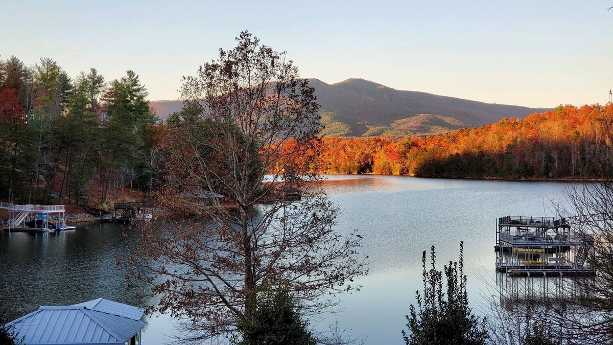 Forest Lake Heights House | Last minute booking special going on now. lakejamesrentals@gmail.com