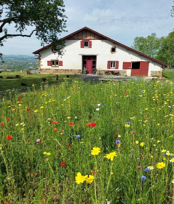 Ilharre Bed & Breakfast | Lastalia