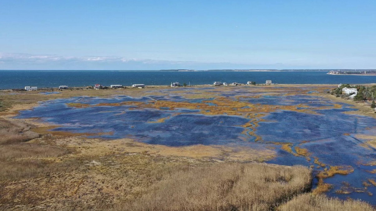 North Eastham House | Late cancellation - 30% discount! Sunset Views -Cape Cod Bay