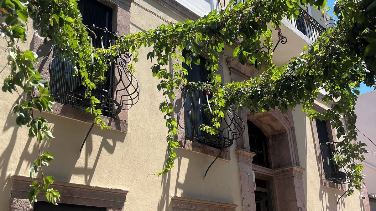 Ayvalik City Center House | Latibule Macaron Guest House