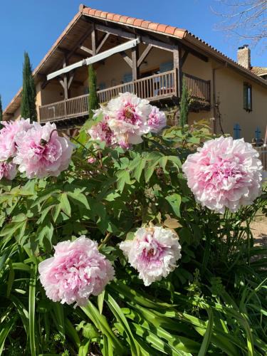 Caupenne-d'Armagnac House | Lauberge de Nogaro