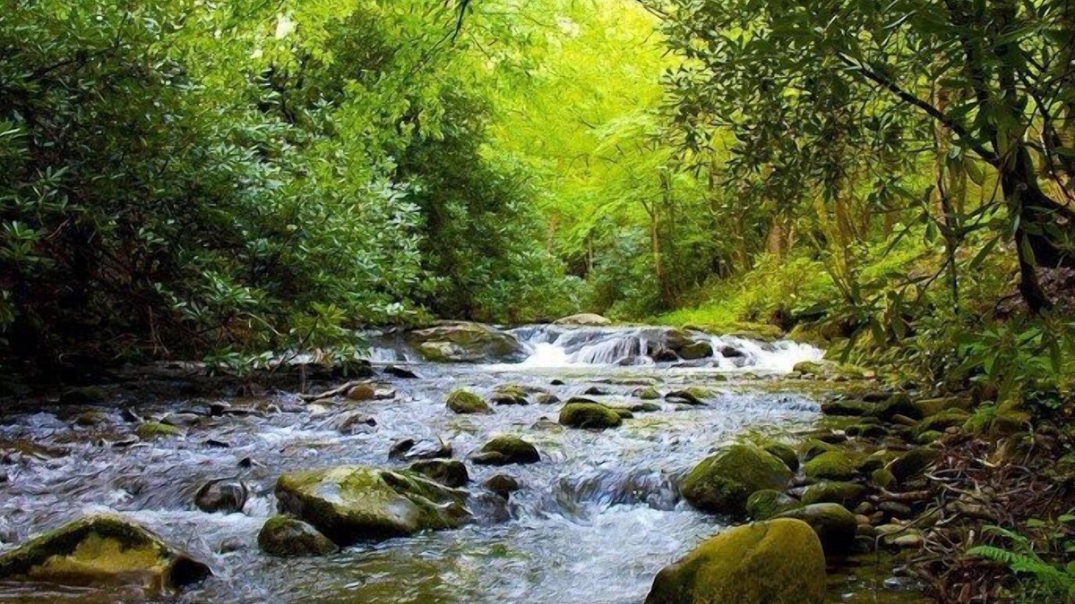 Rocky Grove Cabin | Laurelwood Falls Cabin-A Romantic Creek Side Retreat with Waterfalls