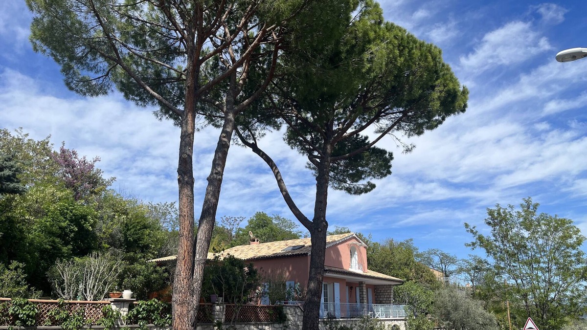 Manosque Apartment | Lavandula heated pool jacuzzi organic concept Manosque *