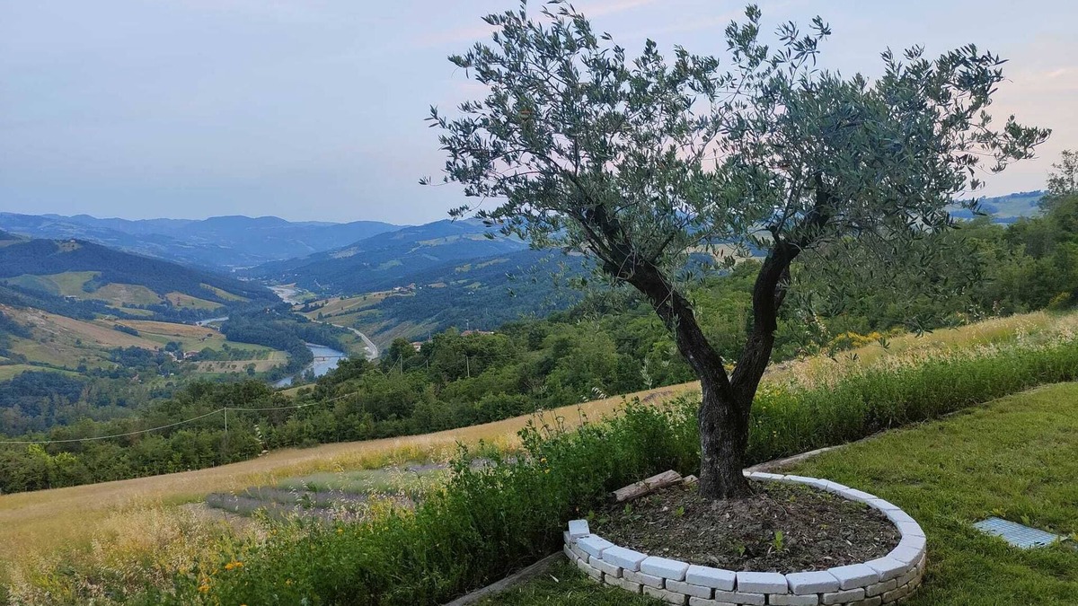 Pieve Di Trebbio House | Lavender Loft - The Window on the World