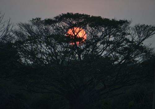 Weerawila Hotel | Lavish Eco Jungle