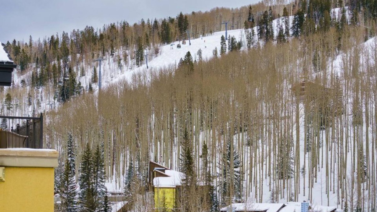 Vail Condo | Lavish Ritz Carlton Residence in Vail! Amenities, Short Walk to Slopes, Dining!