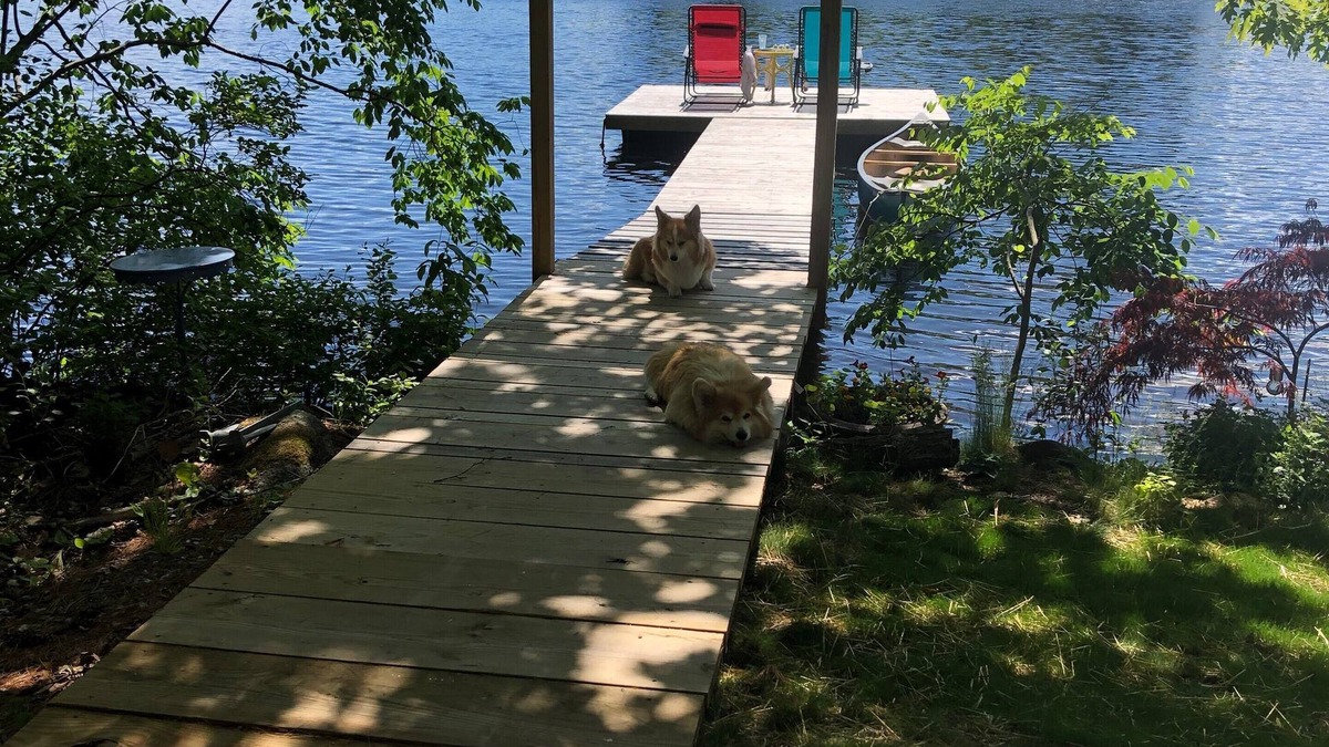 Hope Cottage | Lazy Days - Sunny Dock - Great Swimming & Fishing - close to Camden