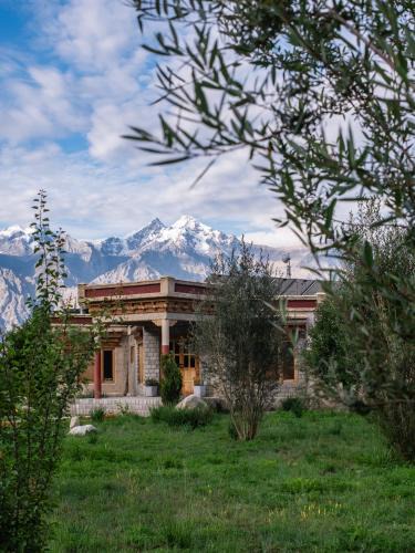 Nubra Valley Resort | Lchang Nang Retreat-THE HOUSE OF TREES-Nubra Valley